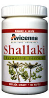 shallaki-avicenna
