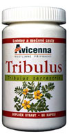 tribulus