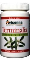 terminalia